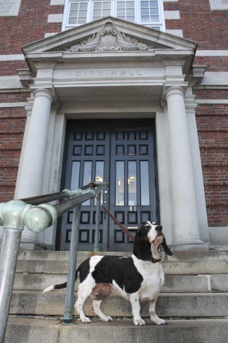 Victoria makes herself at home at City Hall, a.k.a. “The Doghouse.”