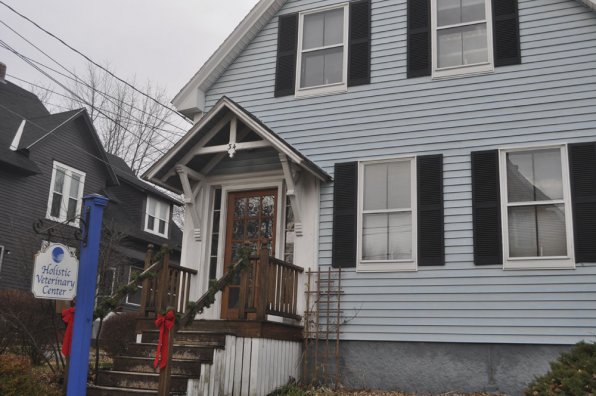 The comfy, cozy confines of the Holistic Veterinary Center offices on West Street.