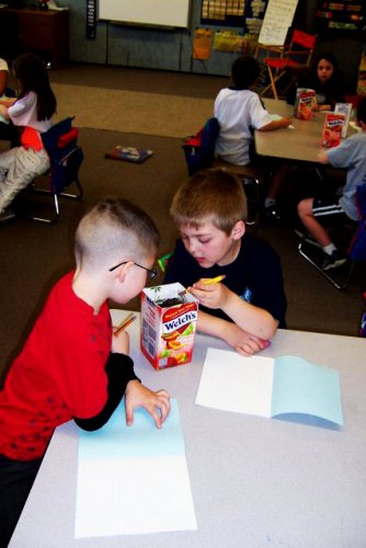 Preston Mantor (left) and Cohen Rollins, first graders at Beaver Meadow Elementary School, examine the wild blue lupines they are growing in their classroom garden.