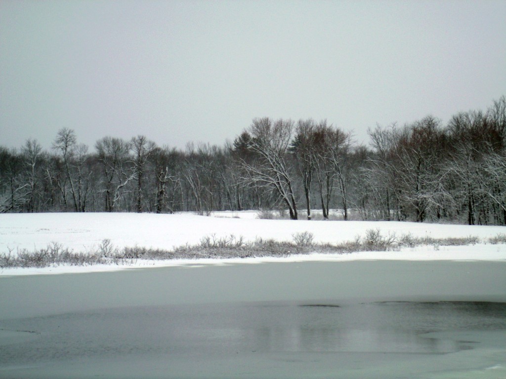 Taken at Horseshe Pond in Concord on Tuesday during the break in the snowstorm.