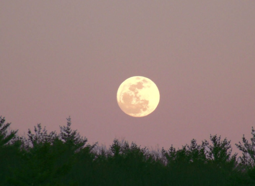 Teusday's Moon rises over Concord with a beautiful purple sky. This photo was taken on Fisk Rd.