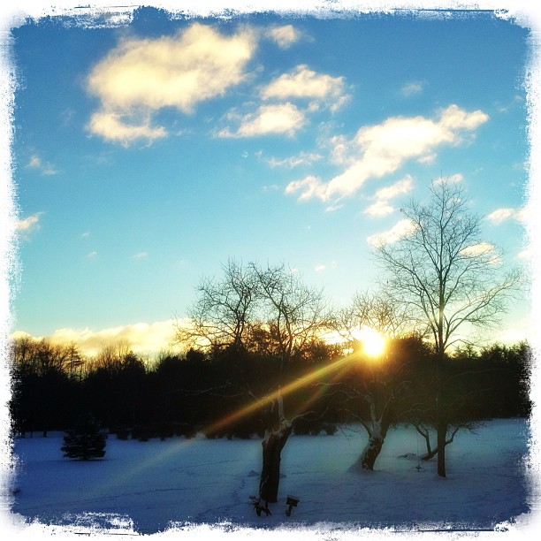 This Instagram photo of the week comes to us from @mcafowler. What a beautiful winter day! If you want your photo to be the Instagram photo of the week, tag us in your shot: @concordinsider.