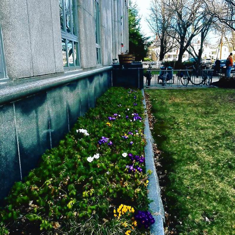 It’s almost like the good people over at the Concord Public Library knew we were putting out our annual Guide to Spring this week and decided to post this picture to their Instagram account for us to use. Maybe they have a camera inside our office watching our every move? Wouldn’t that make for a good story. -