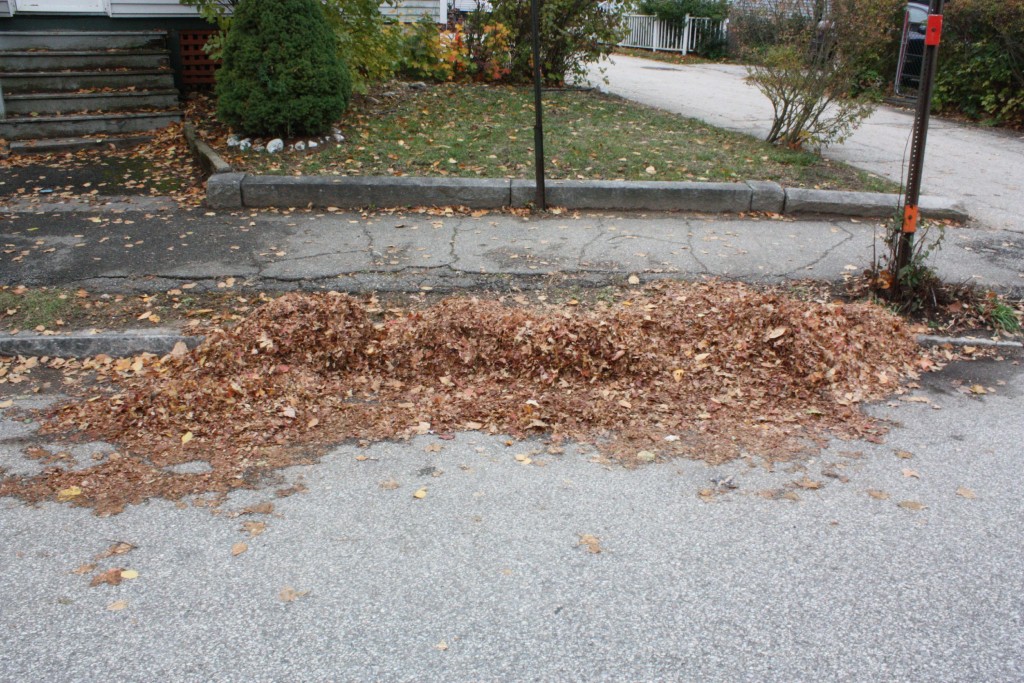 JON BODELL / Insider staffThis leaf pile is okay, but we bet you can do better. We've seen some doozies in the past, so let's see what we can do this year. Send us a picture of your leaf pile (news@theconcordinsider.com) and we'll print the biggest ones.