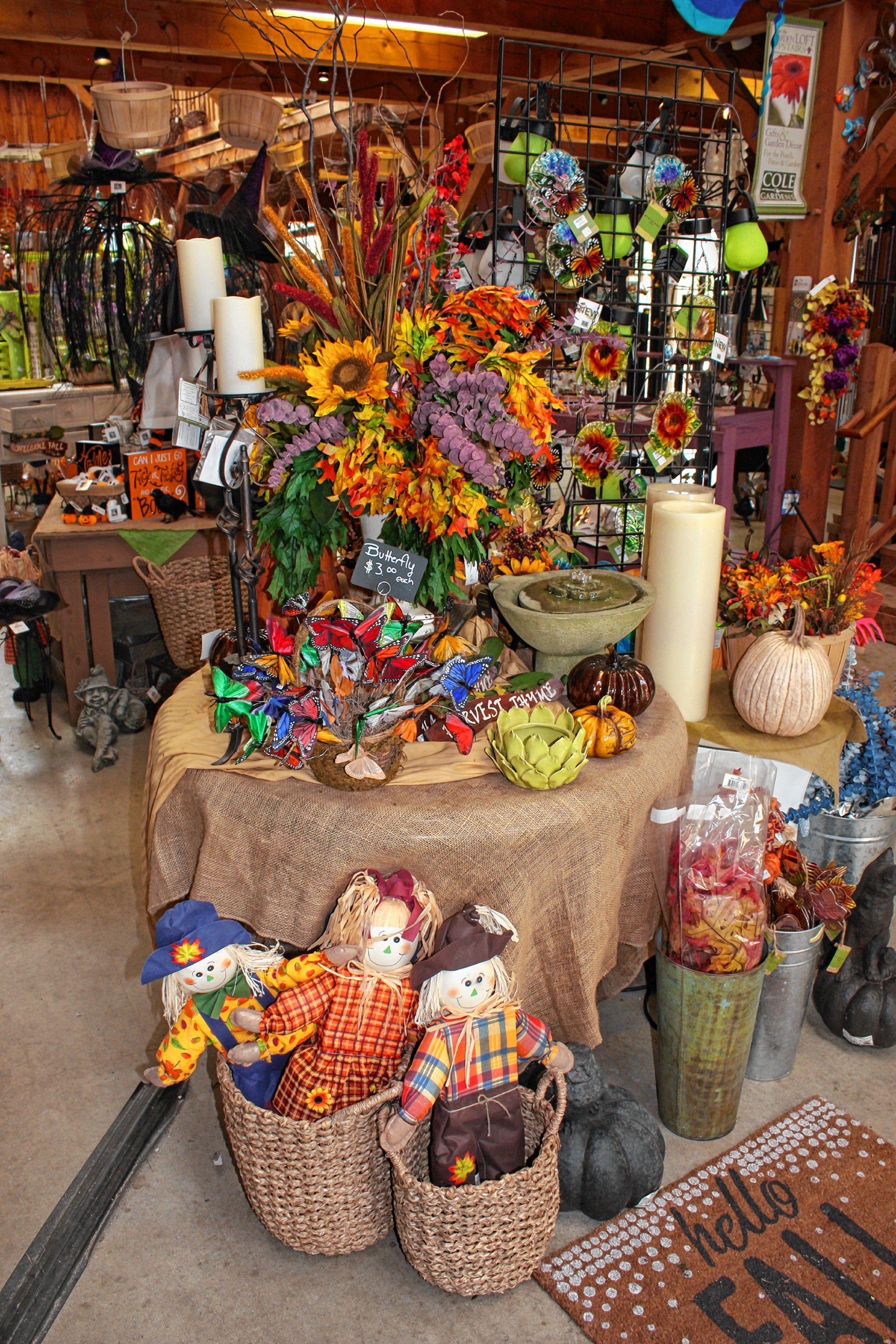 The fall stock is in at Cole Gardens, featuring things like pumpkins and a large assortment of indoor decorations for the mantel or bookshelf. JON BODELL / Insider staff