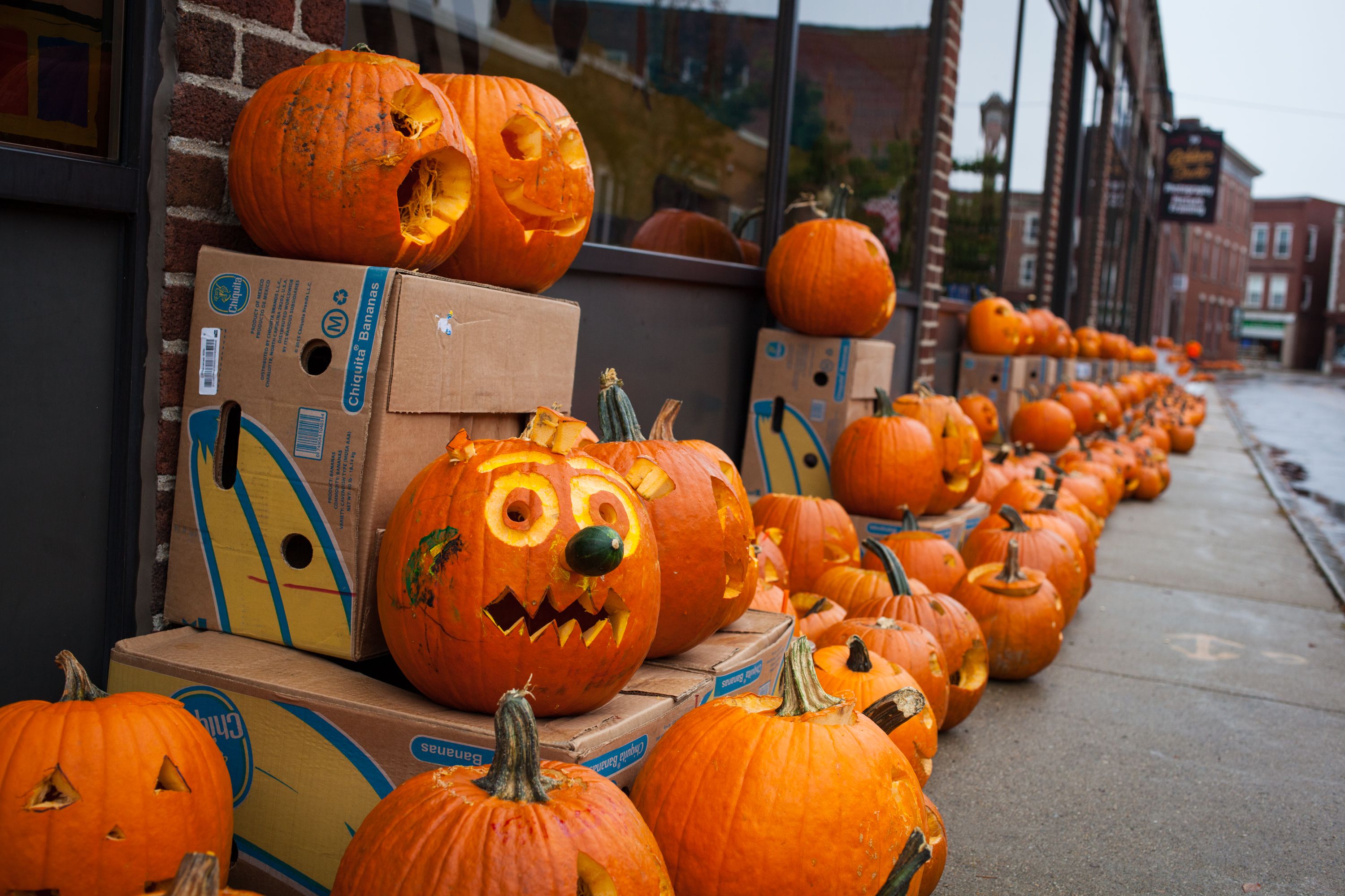 Carved pumpkins line both sides of Canal Street as preparations for the 2016 New Hampshire Pumpkin Festival continue in Laconia on Friday, Oct. 21, 2016. (ELIZABETH FRANTZ / Monitor staff) Elizabeth Frantz