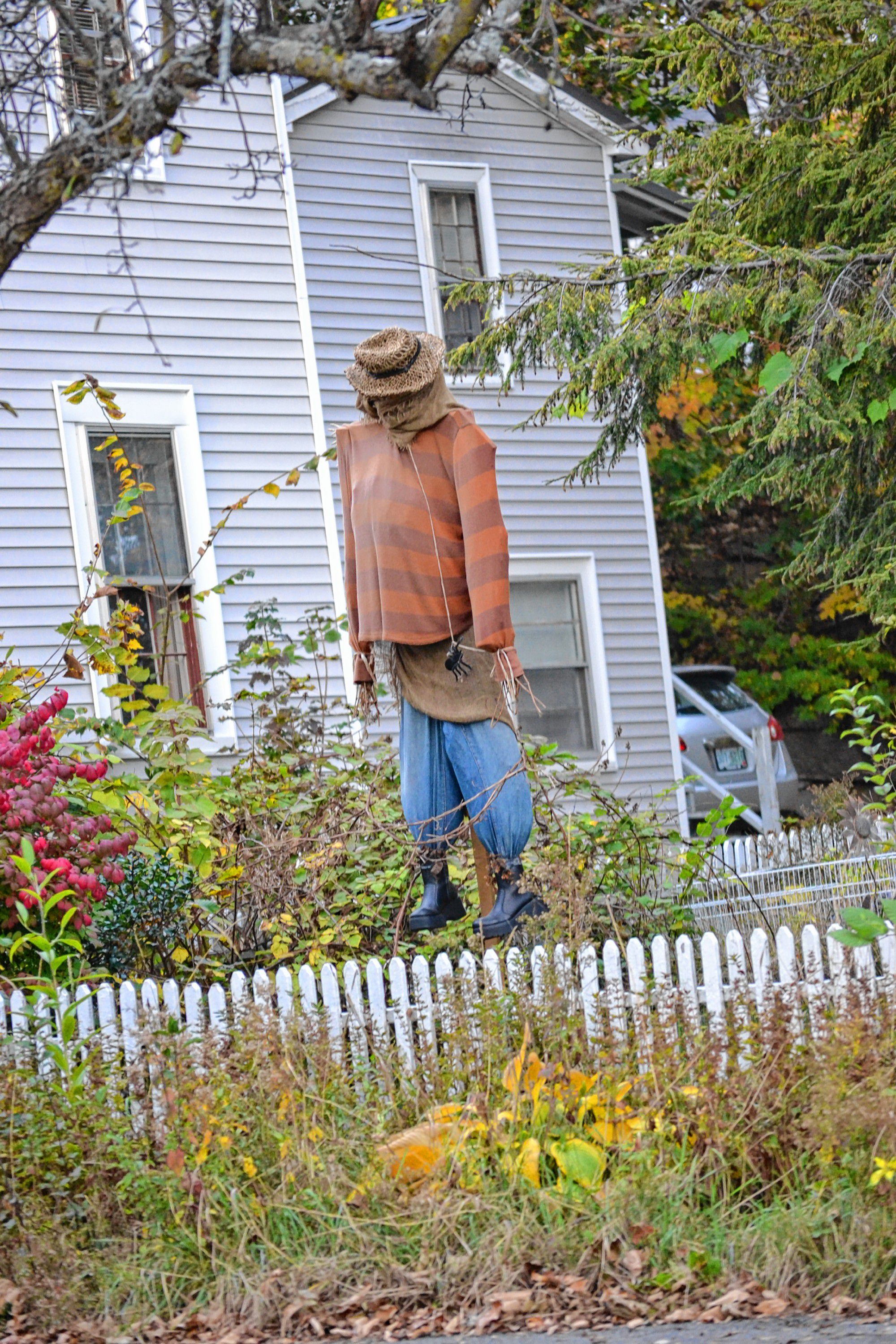 After finding a few pretty sweet Halloween yard displays and putting them in last week's issue, we asked for readers to tell us about other ones around town and Abby Tomich came through with a couple good leads. TIM GOODWIN / Insider staff