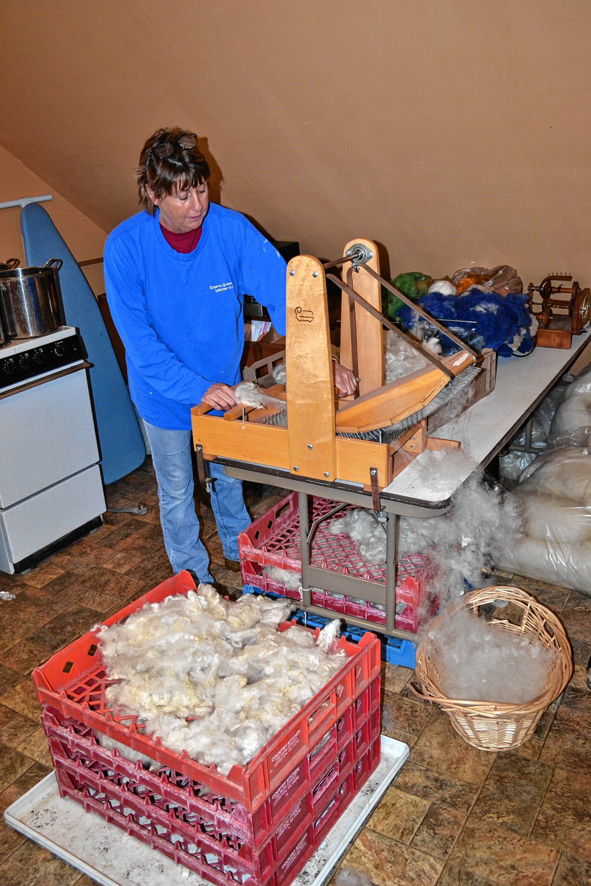 Sue Roberts of Roberts Greenhouse picks wool, something she will be demonstrating during N.H. Open Doors. TIM GOODWIN / Insider staff