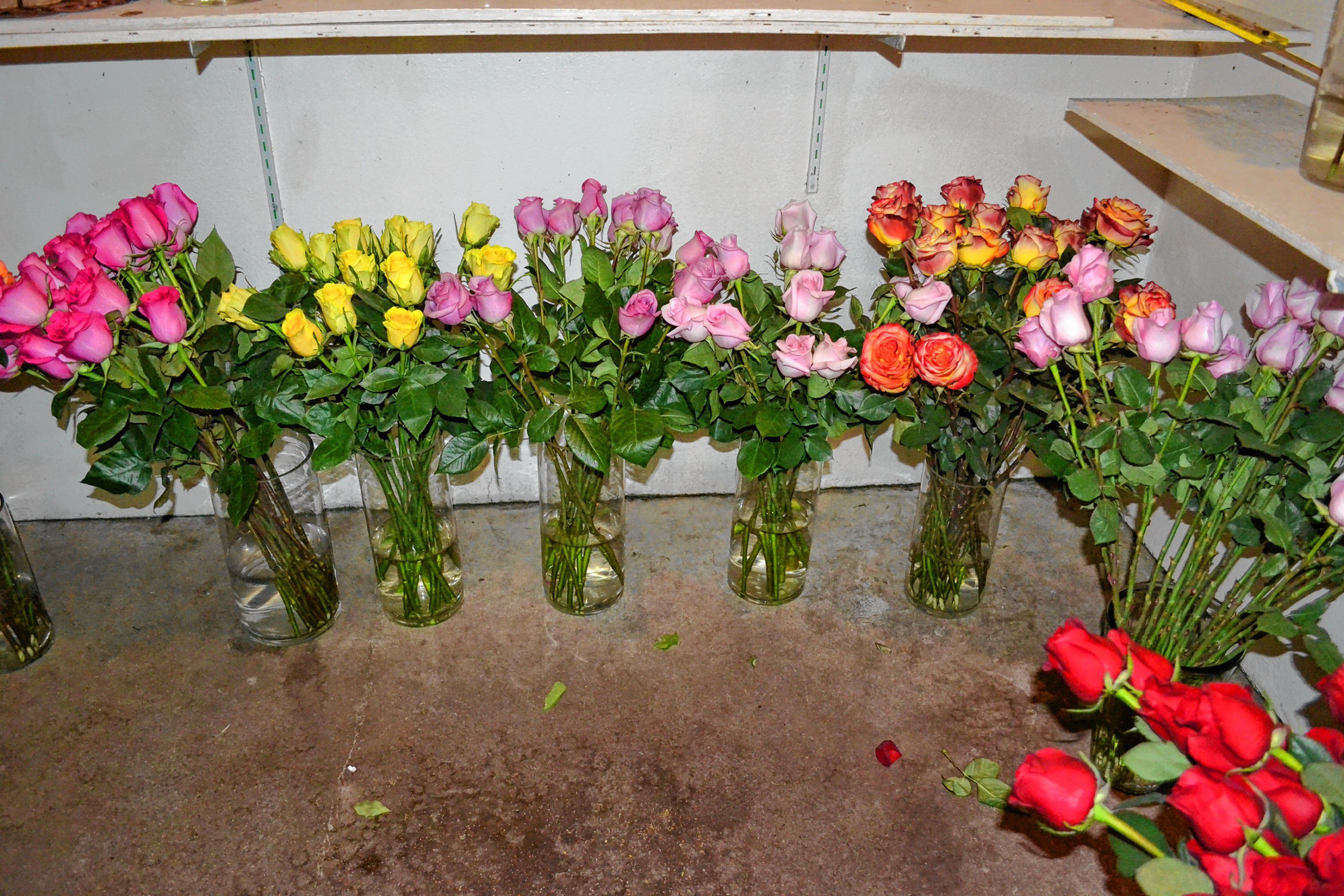 McLeod Florists has quite the selection of roses for Valentine's Day. TIM GOODWIN / Insider staff