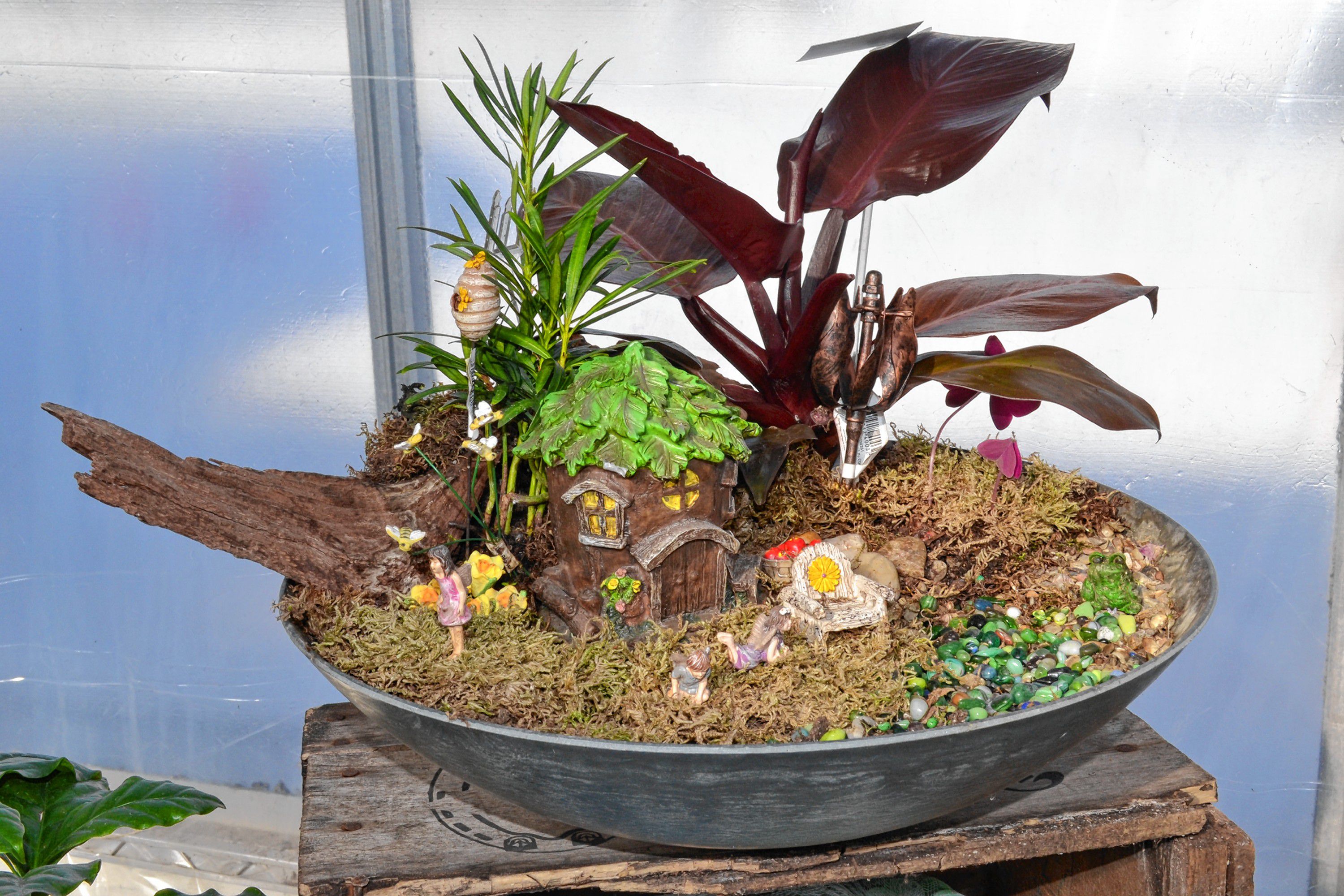 If you want to get your daughter or niece a Valentine, consider a fairy garden from Cole Gardens. TIM GOODWIN / Insider staff