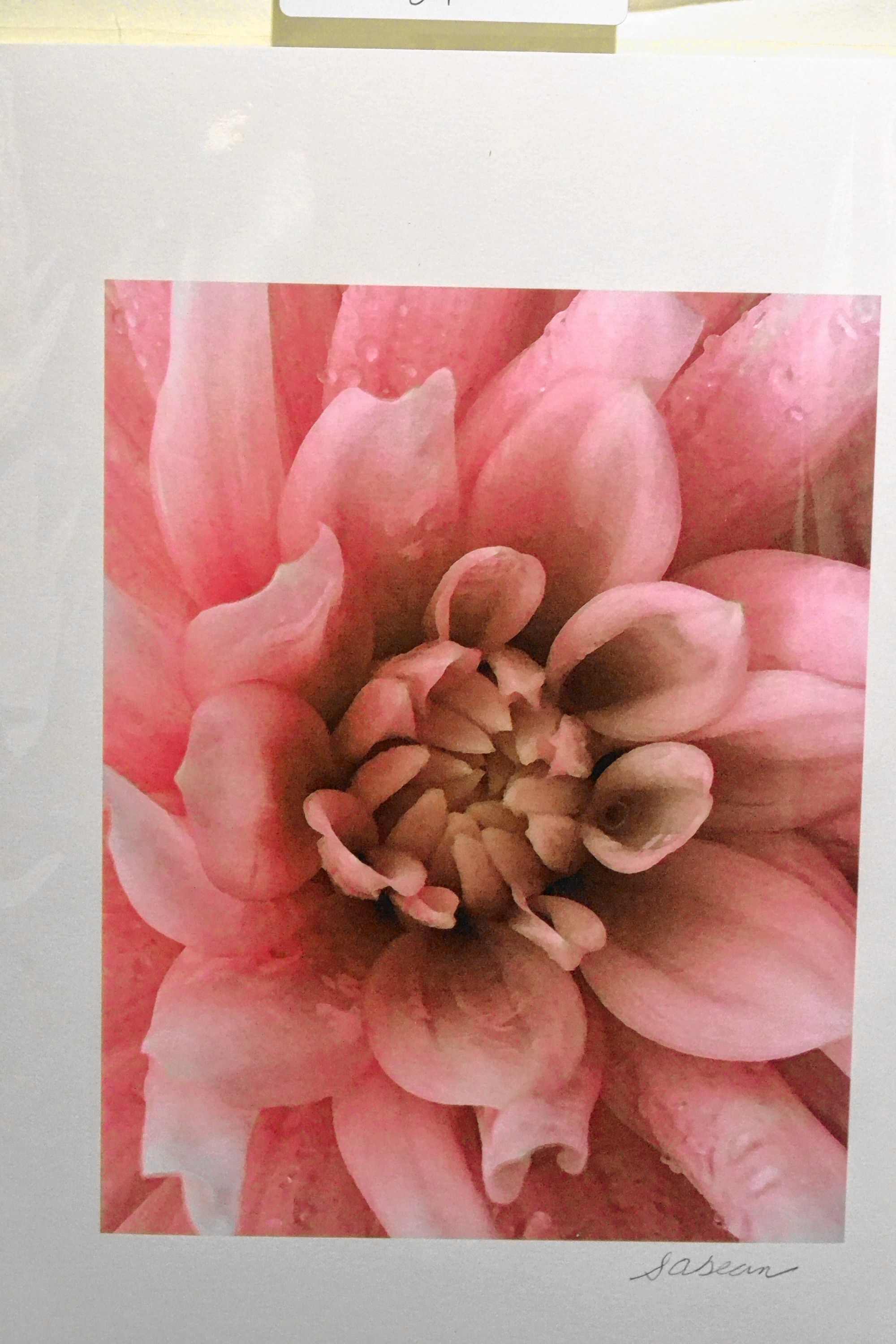 Pink Flower, Lynne Guimond Sabean. TIM GOODWIN / Insider staff
