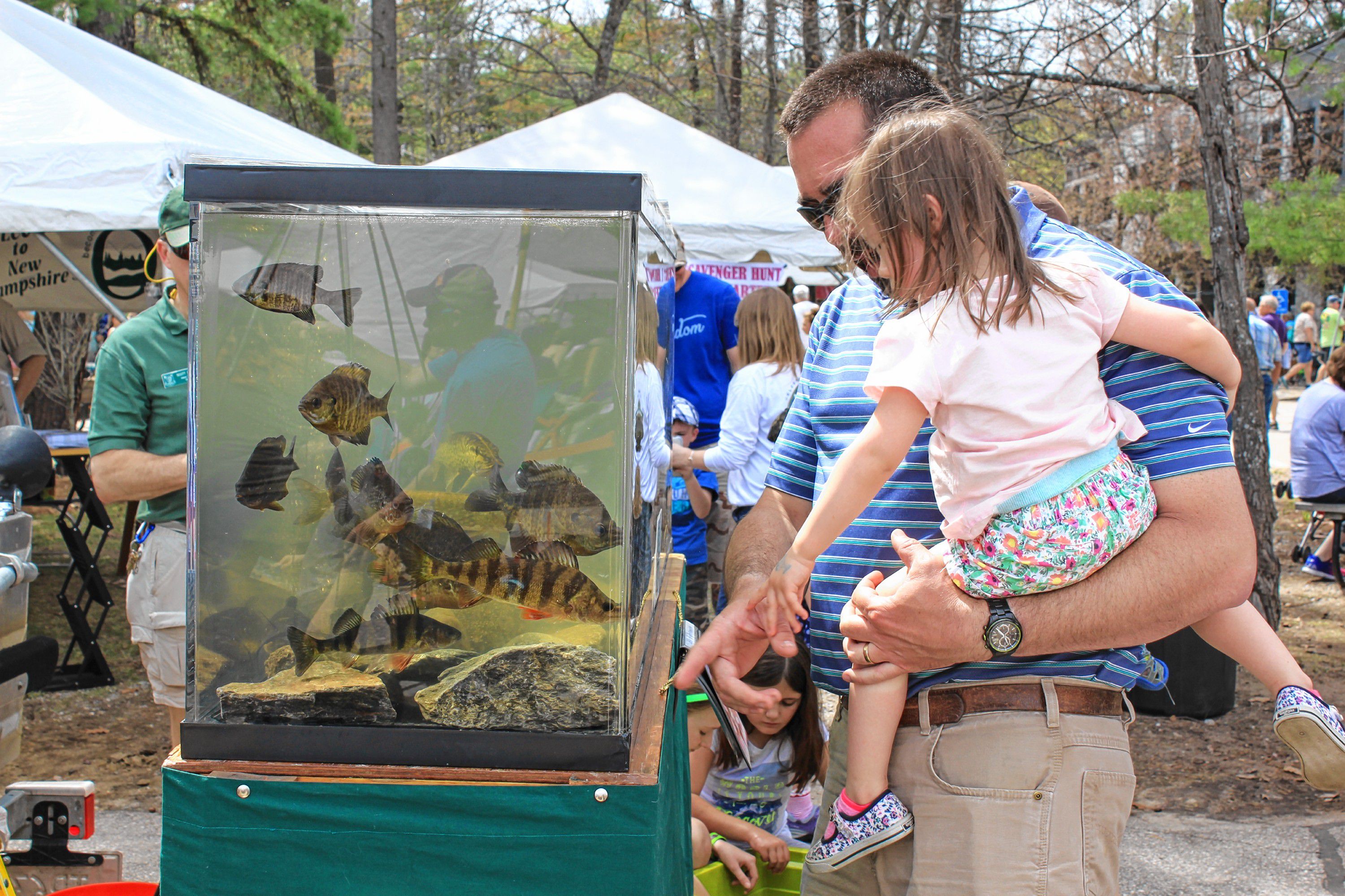 Discover WILD New Hampshire day at the state Fish and Game headquarters is always a good time for the whole family, with activities, demonstrations and various exhibits throughout the day. Courtesy of New Hampshire Fish and Game