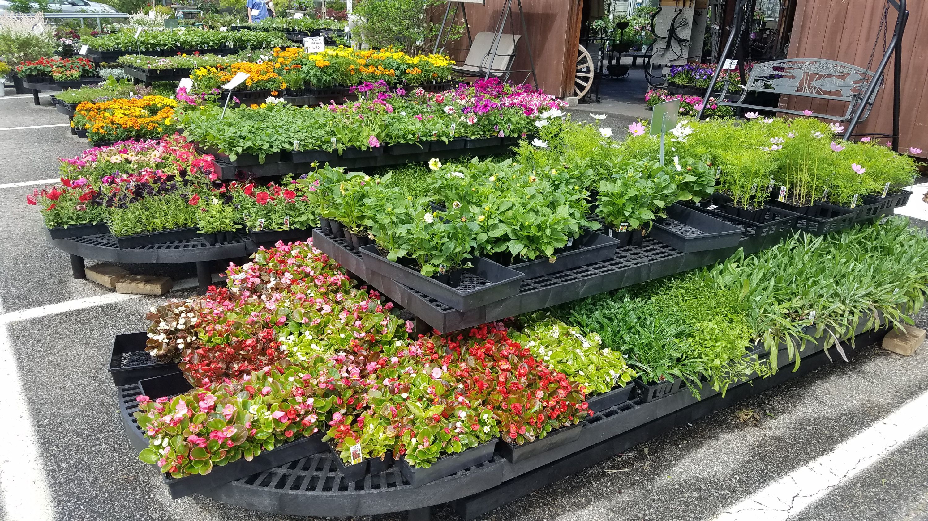 Osborne's Agway has a good selection of fruit trees, as well as a whole slew of vibrant, colorful flowers. JON BODELL / Insider staff