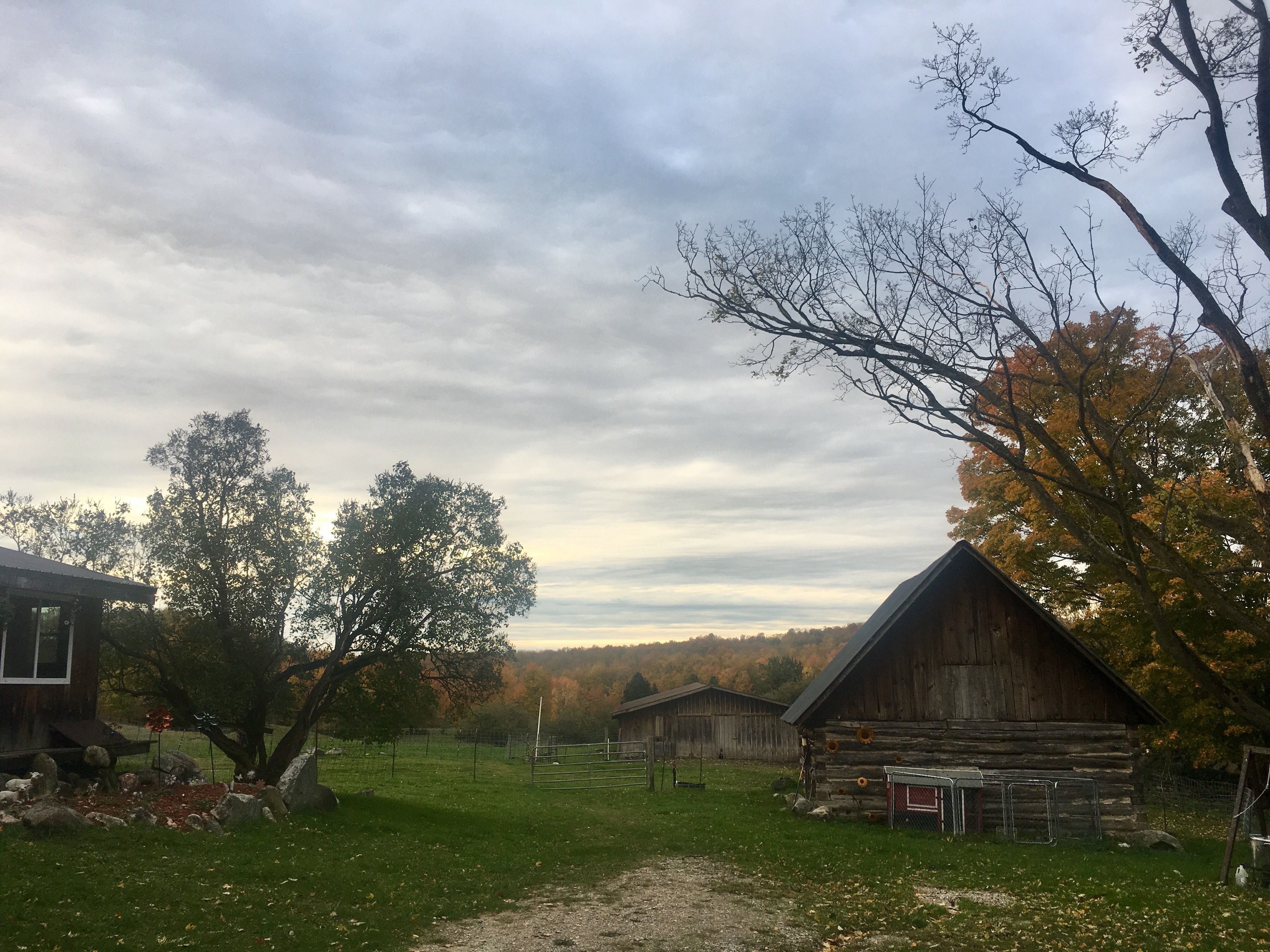 This Oct. 16, 2018 photo shows Stonehedge Farm in East Jordan, Mich., where Stonehedge Fiber Mill operates. (Shireen Korkzan via AP)  Shireen Korkzan