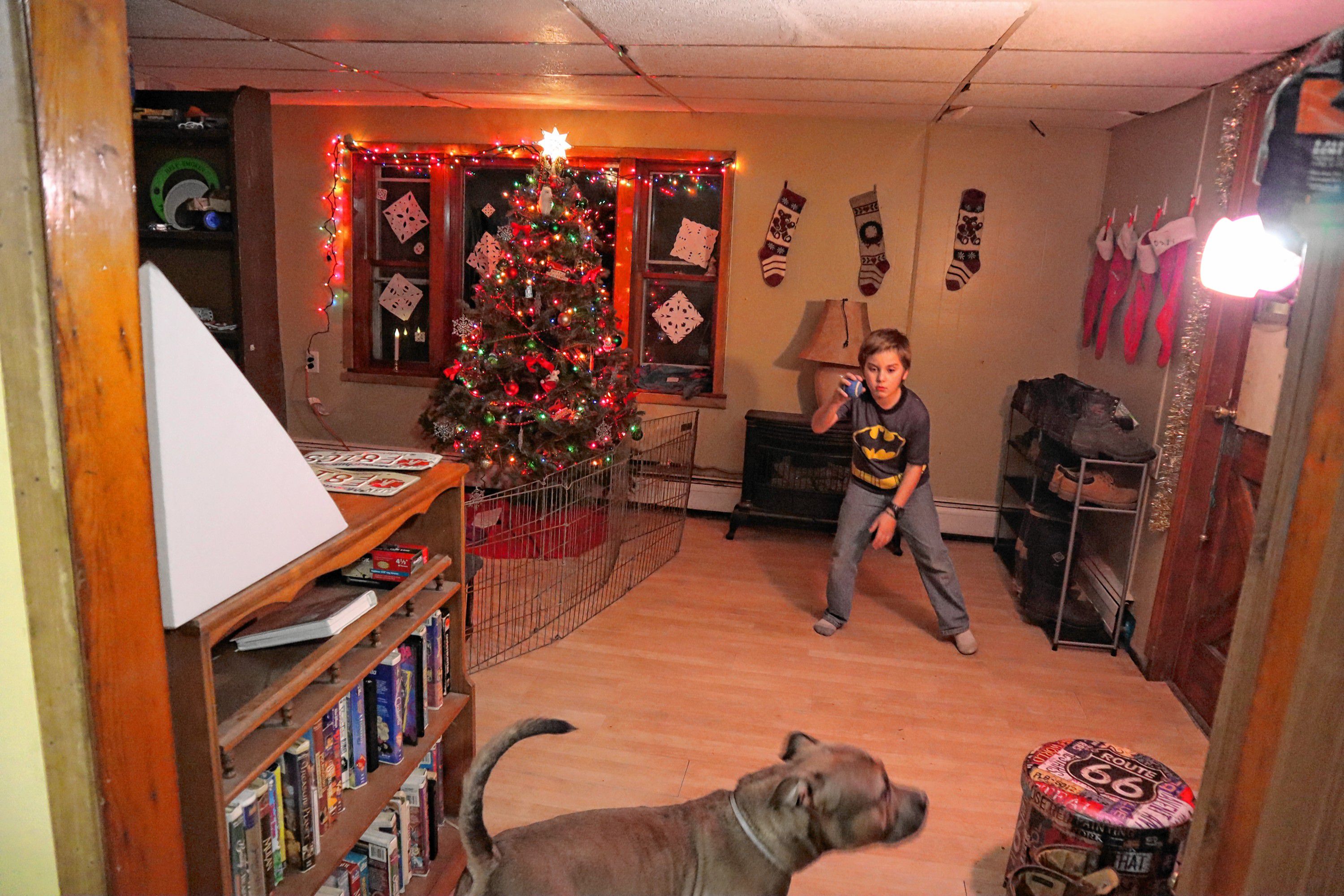 Shaye Campbell, 9, plays fetch with his dog, Max, at his family’s new apartment in Chichester. 