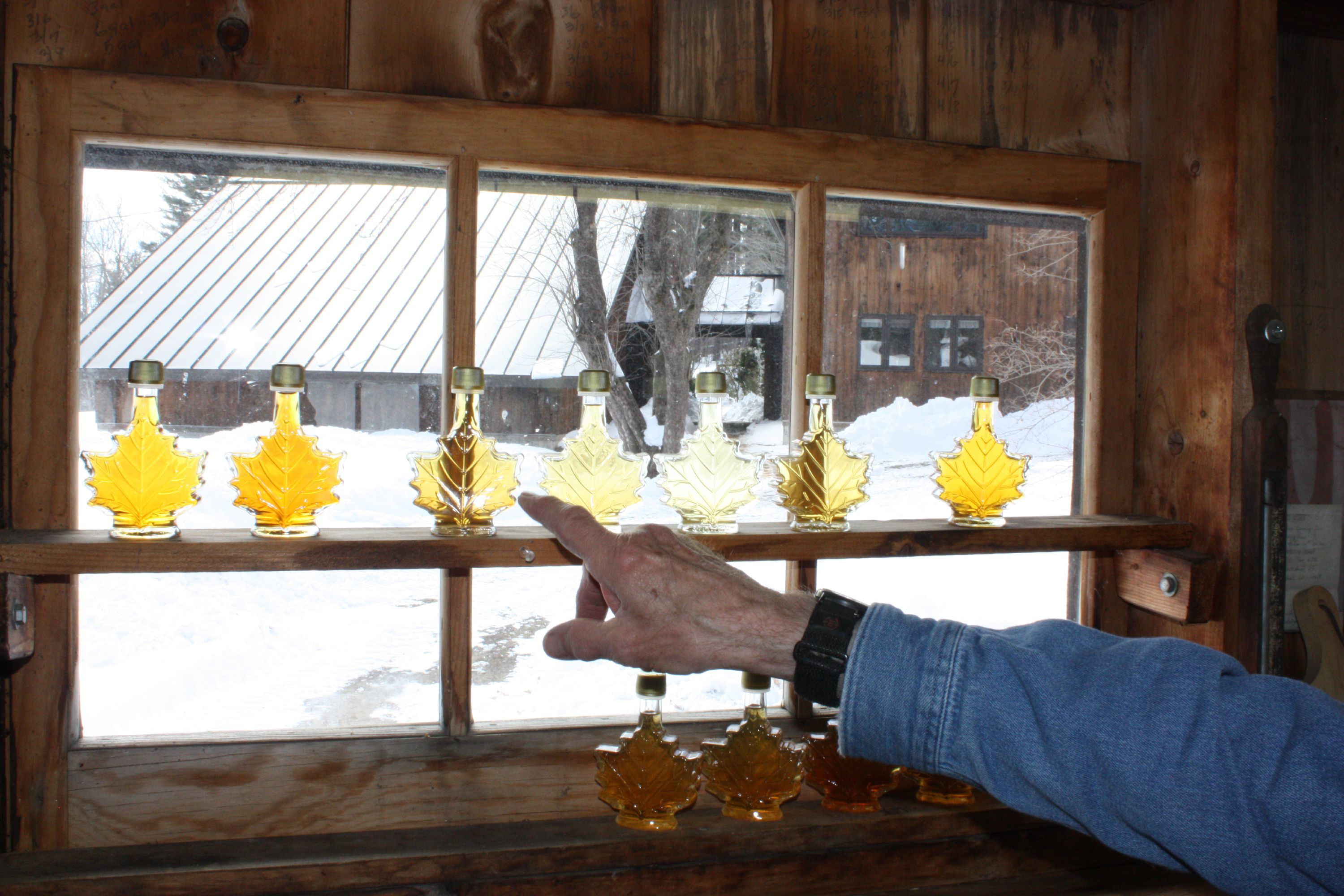 A seasoned maple syrup pro can tell a lot about the temperatures of a given season by looking at the color of the syrup. Darker syrup correlates to warmer temperatures, and vice versa. In this shot taken at Mapletree Farm in Concord, the first two bottles on the left are from this year -- one for each boil owner Dean Wilber has done so far. After those two, the rest are bottles from last year's season, in order. By looking at this photo, we can tell that last year started off a little warm (the first bottle sap is on the darker side), then it cooled off for a little while, which is why you see the very light colors in the middle. Then, at the end of the season when it was the warmest, the syrup was the darkest.  (JON BODELL / Insider staff) JON BODELL / Insider staff