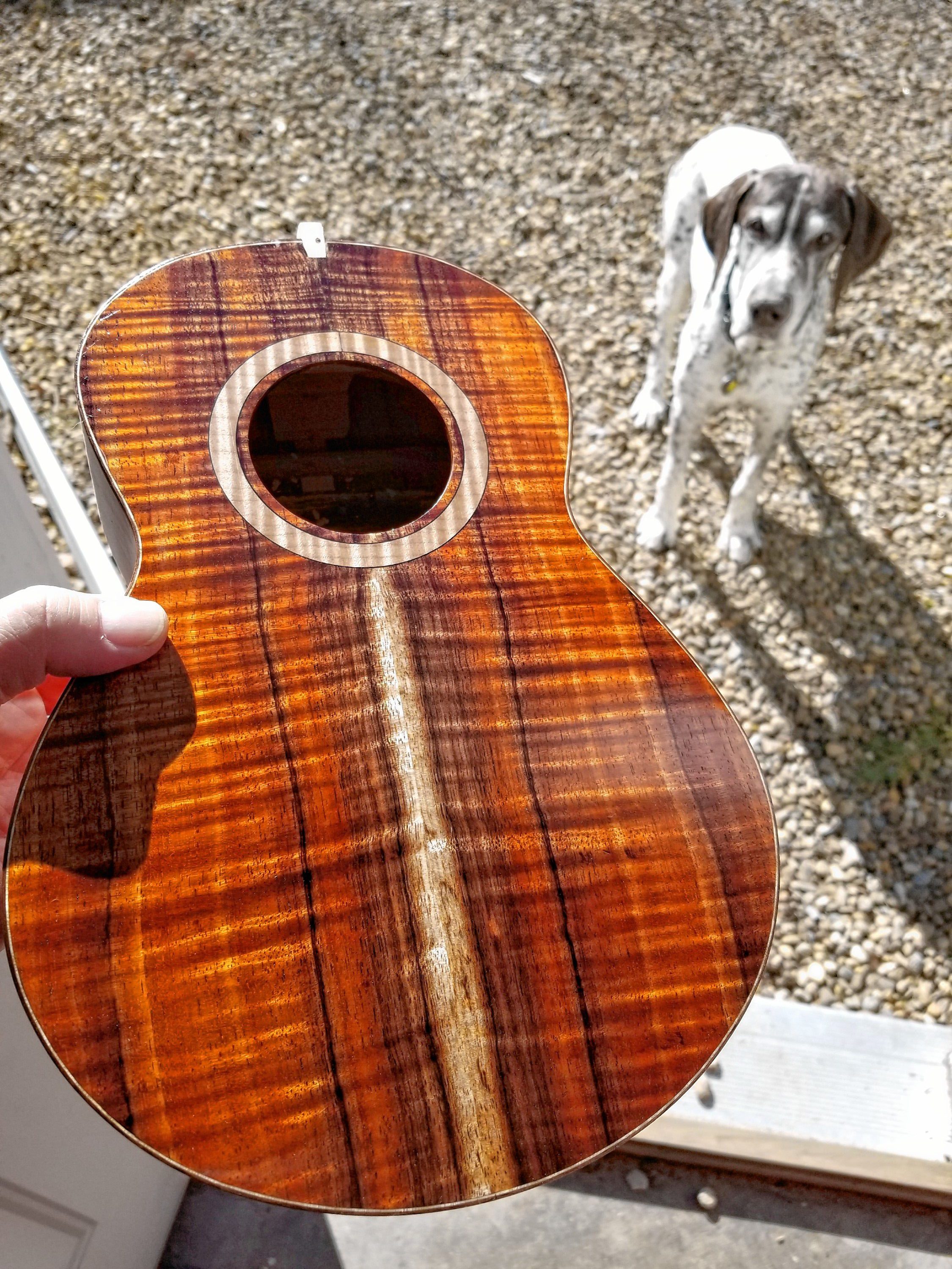 Luthier Steve Marcq makes guitars by hand, and he'll be demonstrating his skills at Traditional Craft Days at Canterbury Shaker Village on Sunday. Courtesy of Steve Marcq