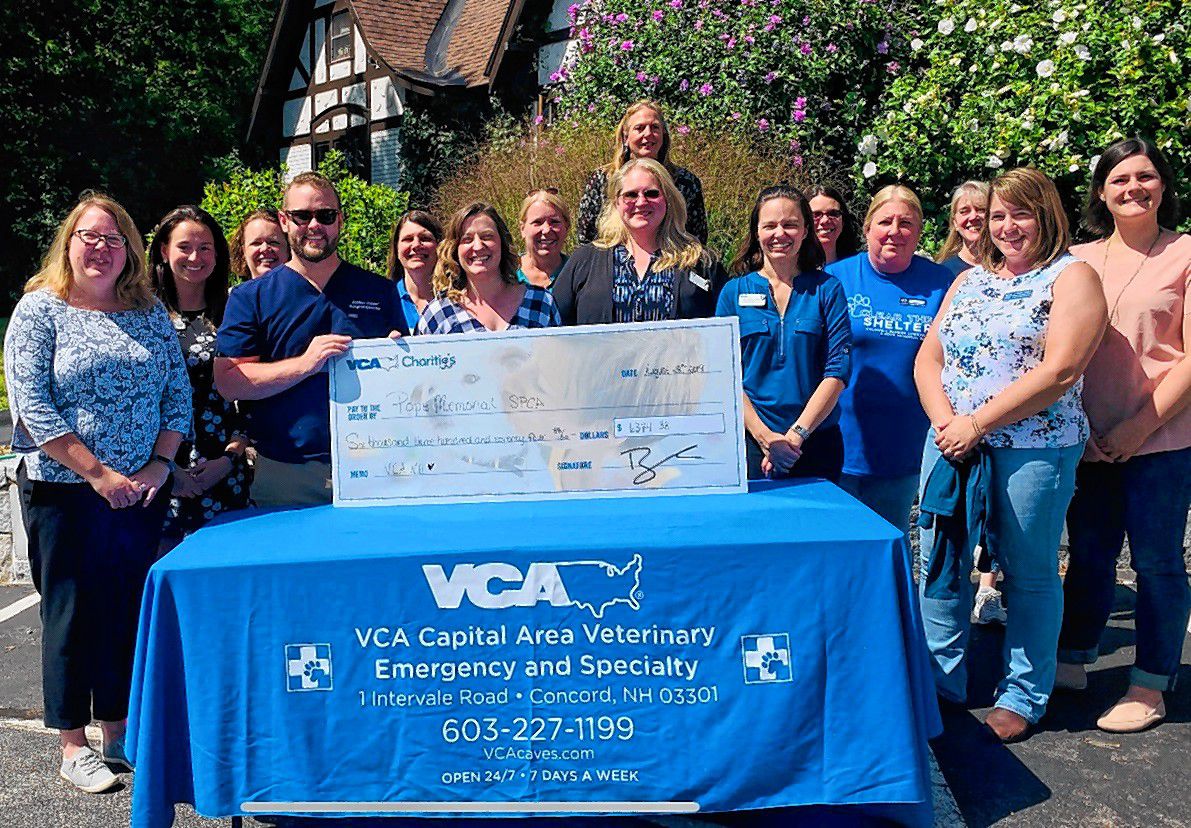 Vca capital store city animal hospital