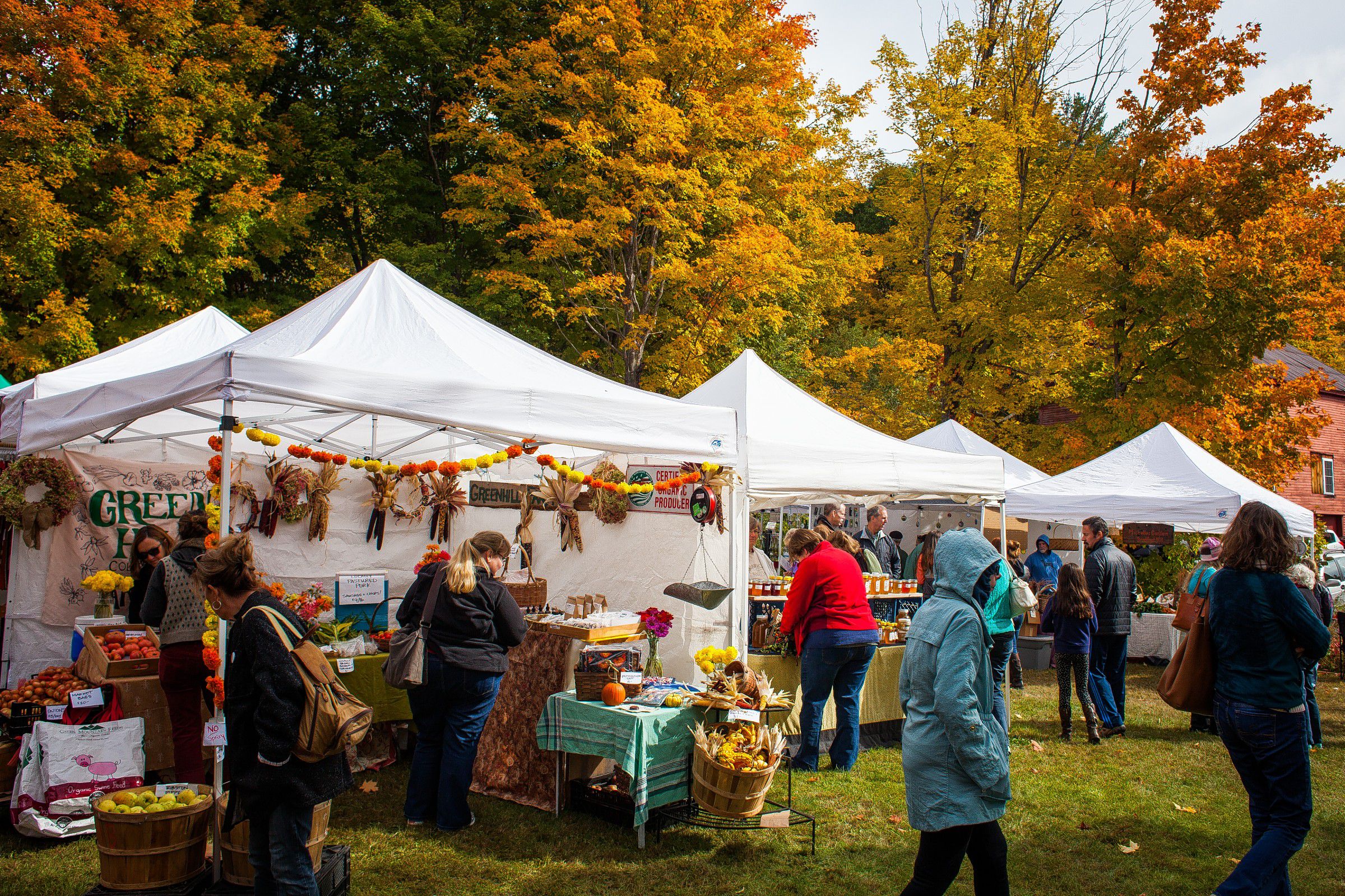 Flannel up for the 72nd annual Warner Fall Foliage Festival this weekend The Concord Insider