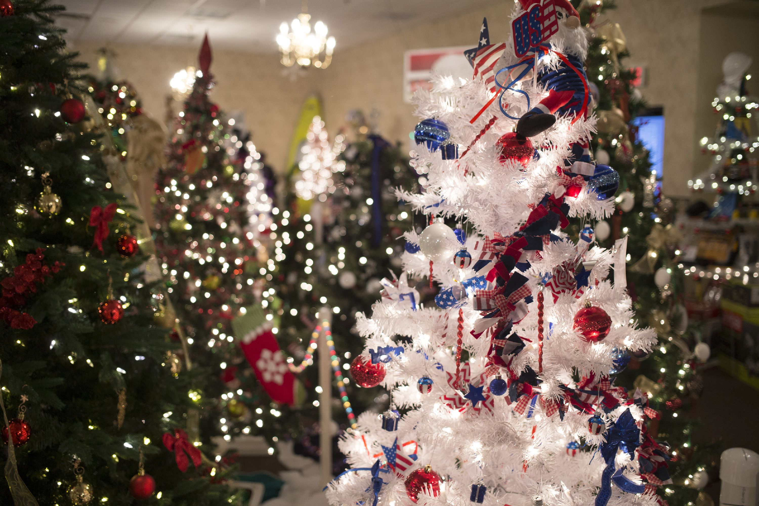 Feztival of Trees to return to Bektash Shrine Center for 19th year