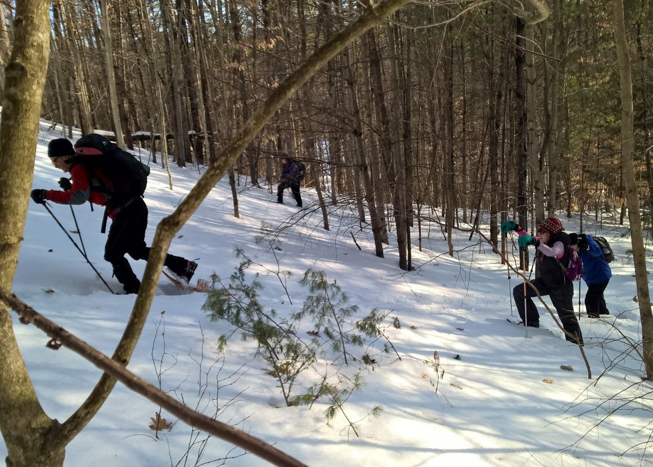 Snowshoe Class The most fun part of our Advanced Snowshoe class was getting out on steep slopes in deep snow. Because we didn't have enough time on snow, we decided to take a starlight hike that evening. (David Shedd/EasternSlopes.com photo) 