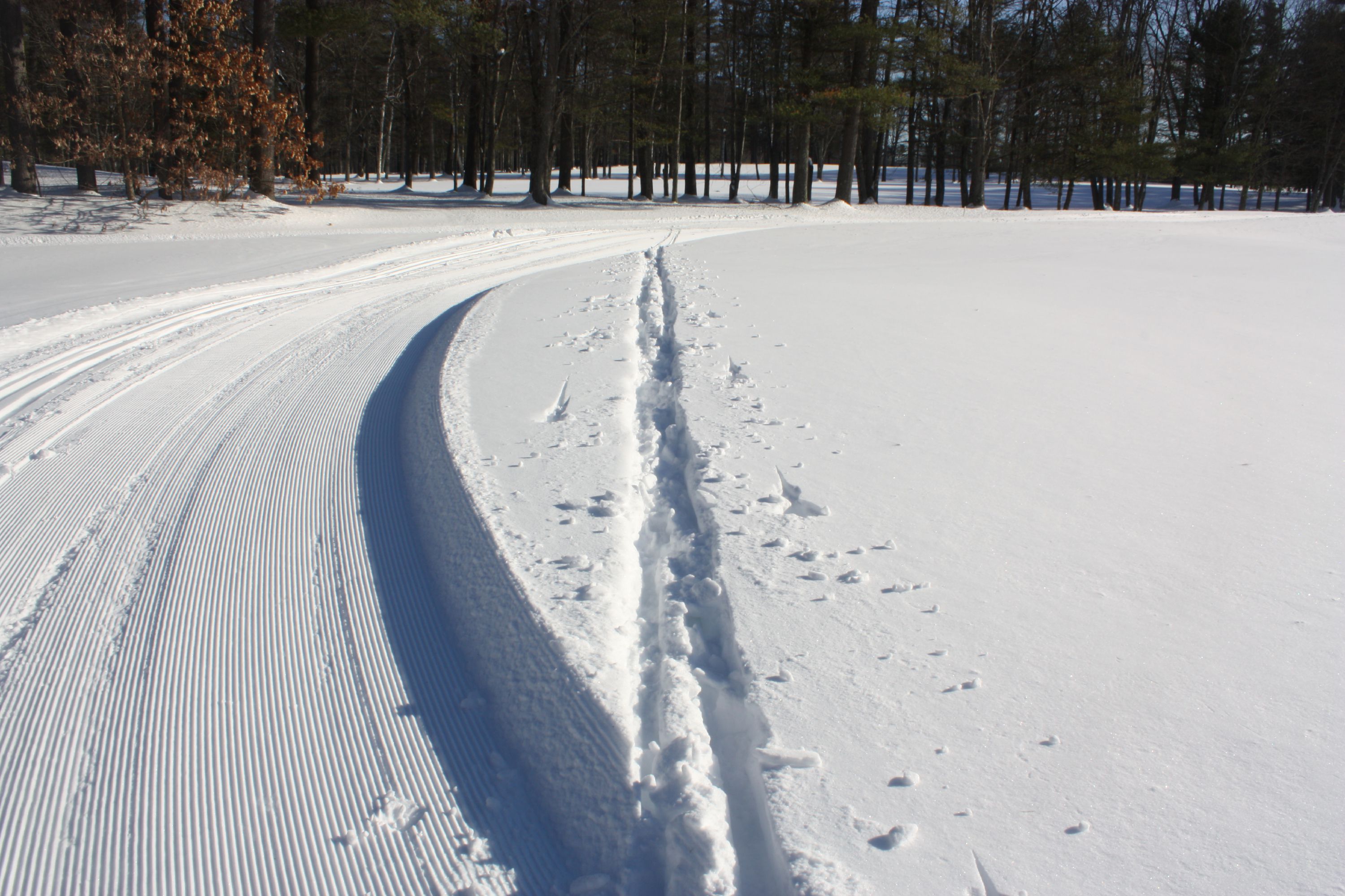 Some brave showoff decided to make their own cross-country ski trail at Beaver Meadow last week. (JON BODELL / Insider staff) JON BODELL / Insider staff