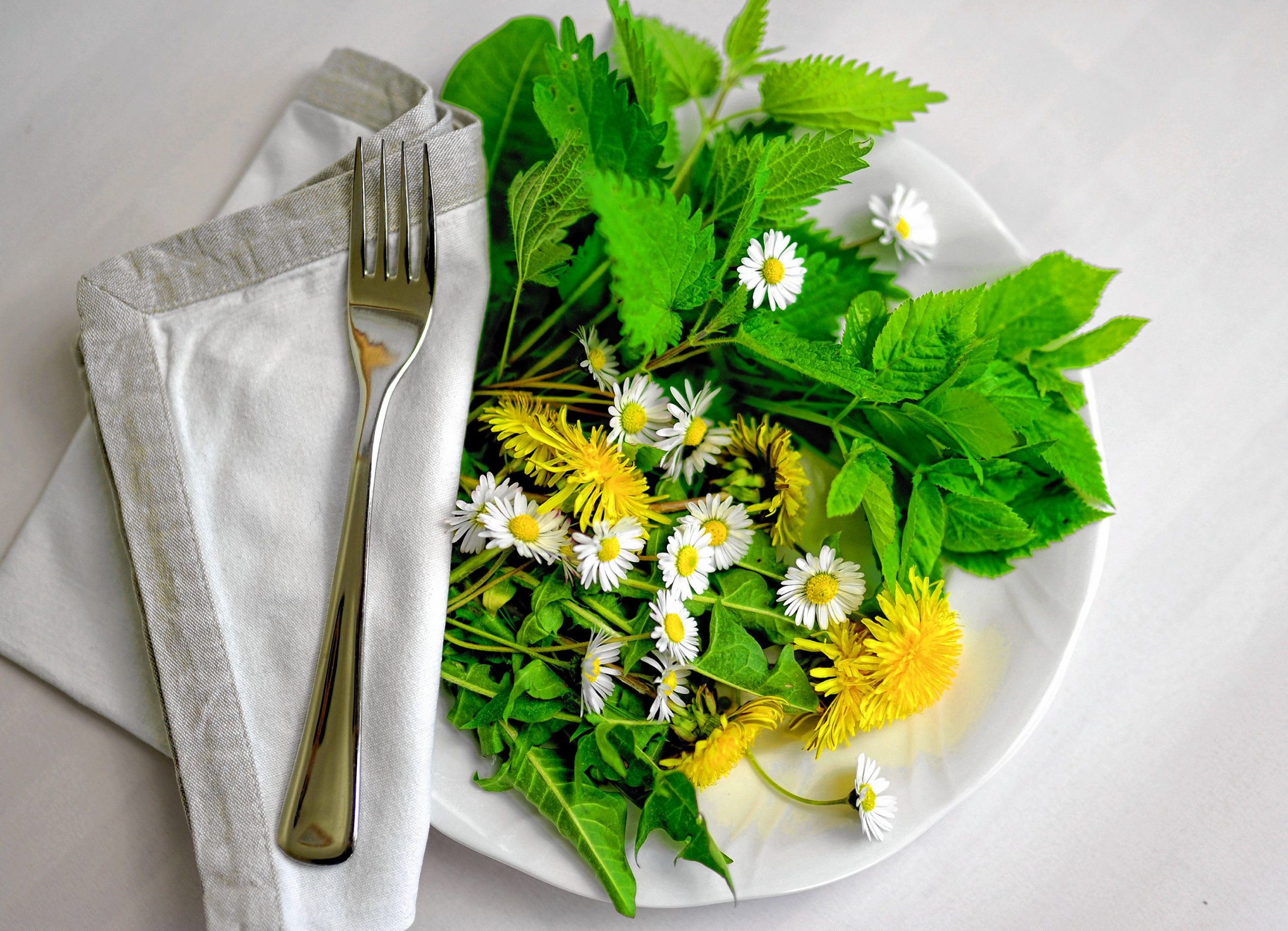 Dandelions for instance, are rich in Vitamin D as are pumpkin flowers. 