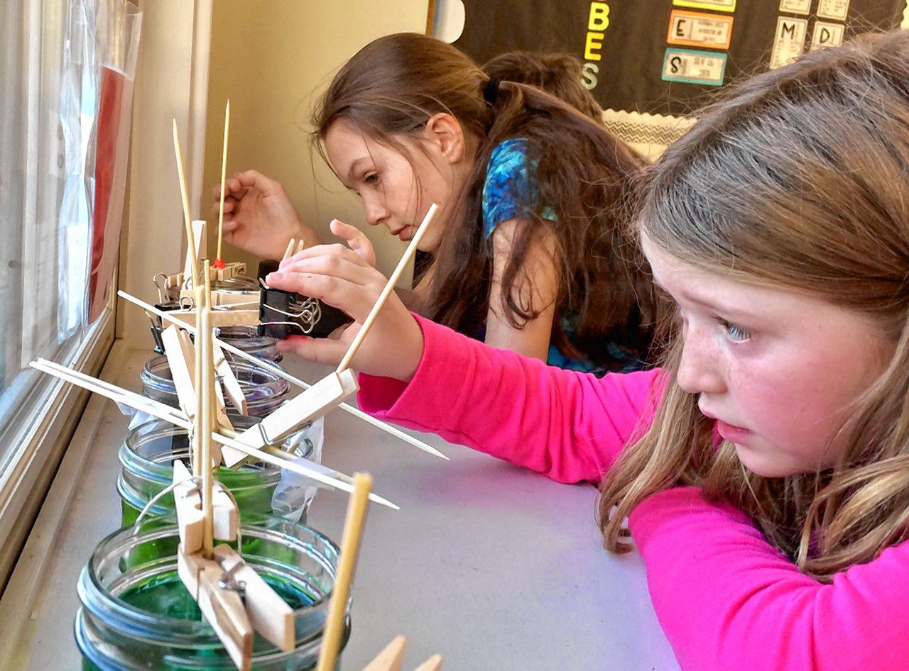 Students at the Shaker Road School work on a science experiment.