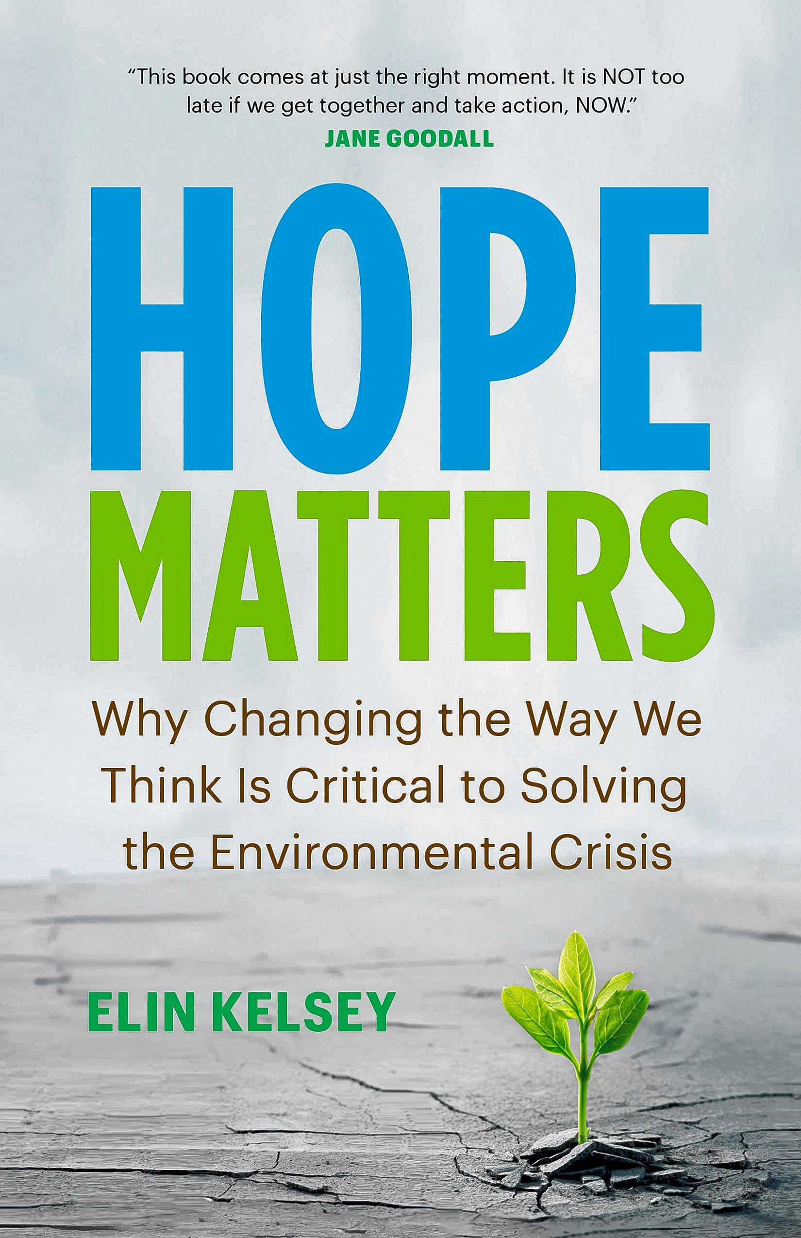 Hope Matters: Why Changing the Way We Think Is Critical to Solving the