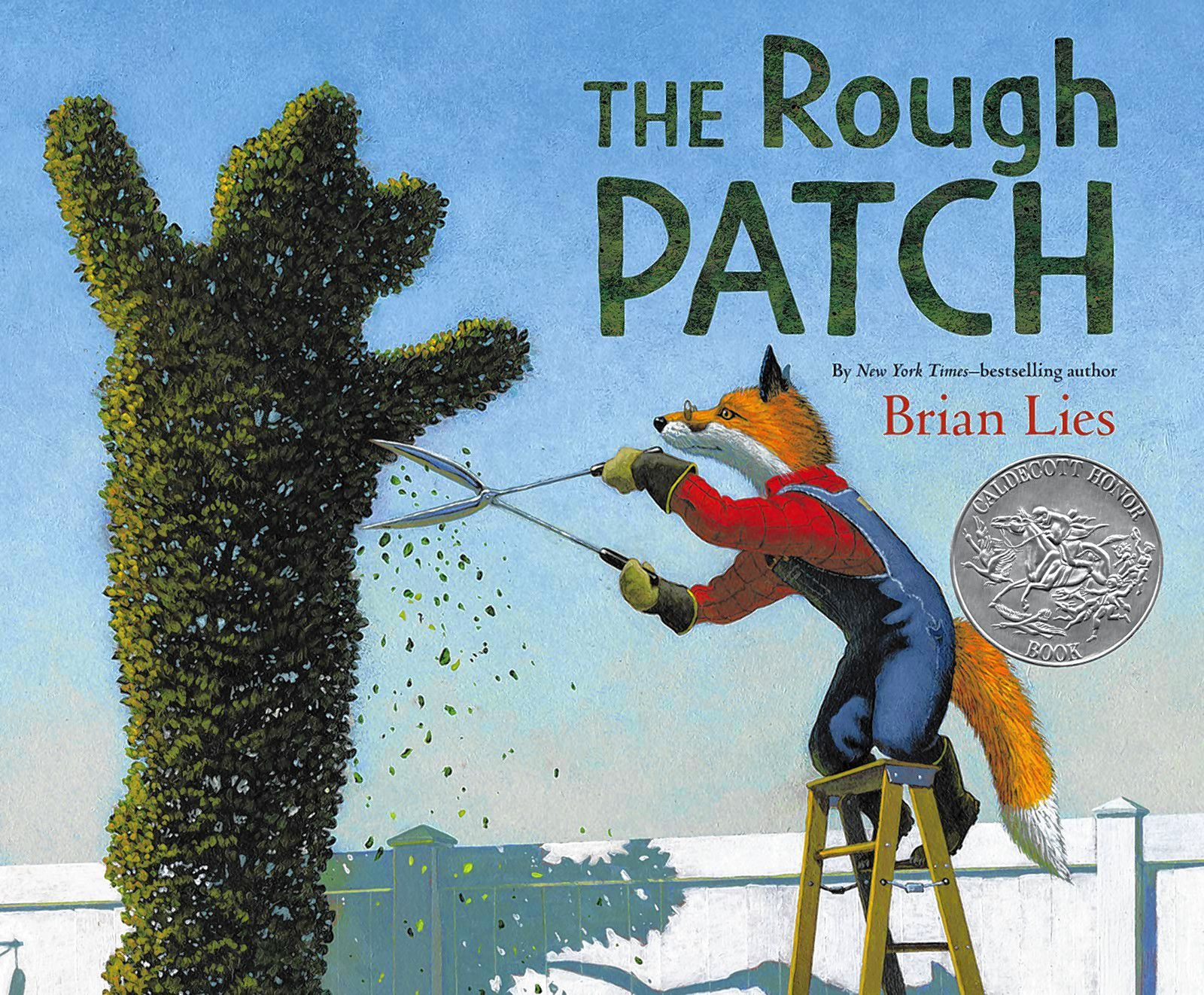 book-the-rough-patch-the-concord-insider