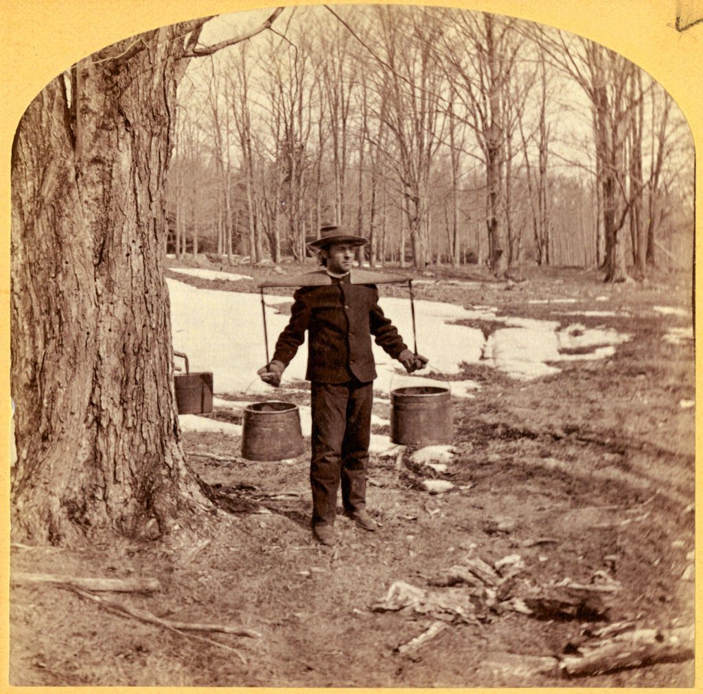 Historical photos from the Canterbury Shaker Village maple camp.  