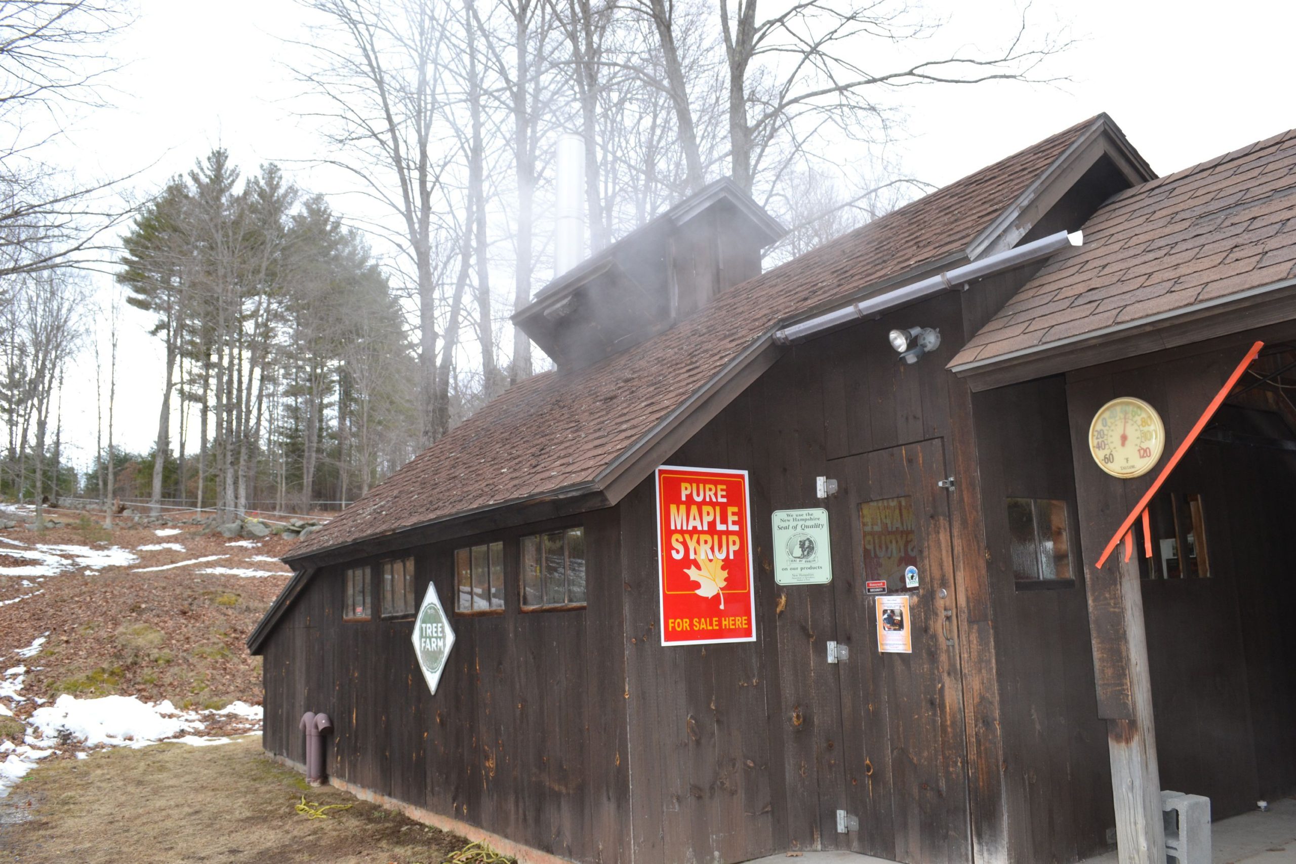 Since Mother Nature didn't exactly cooperate with our idea for a maple syrup issue, we stopped by Mapletree Farm last week to actually see the sweet stuff being made. Tim Goodwin