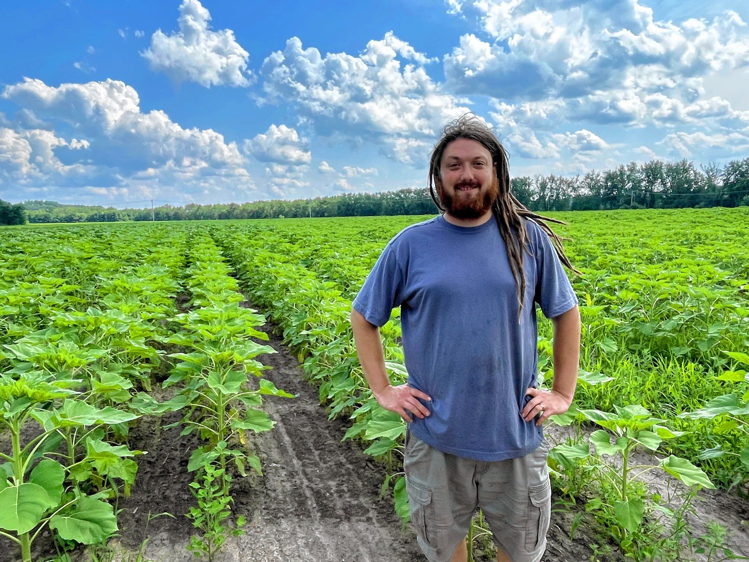 Greg Pollock stands among his sunflower fields in Concord.