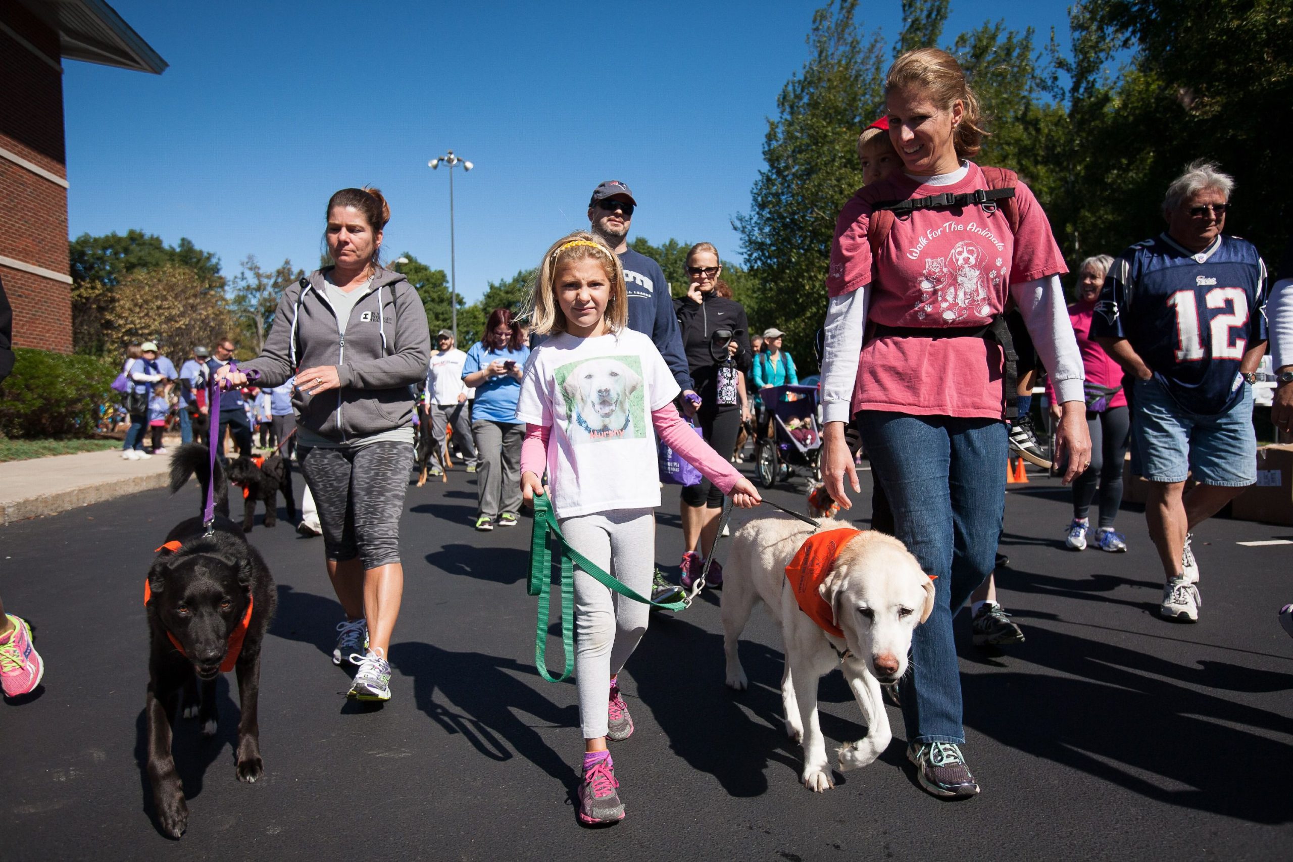 Pope Memorial SPCA's Walk for the Animals is a fun event for the whole family -- including the dogs. 