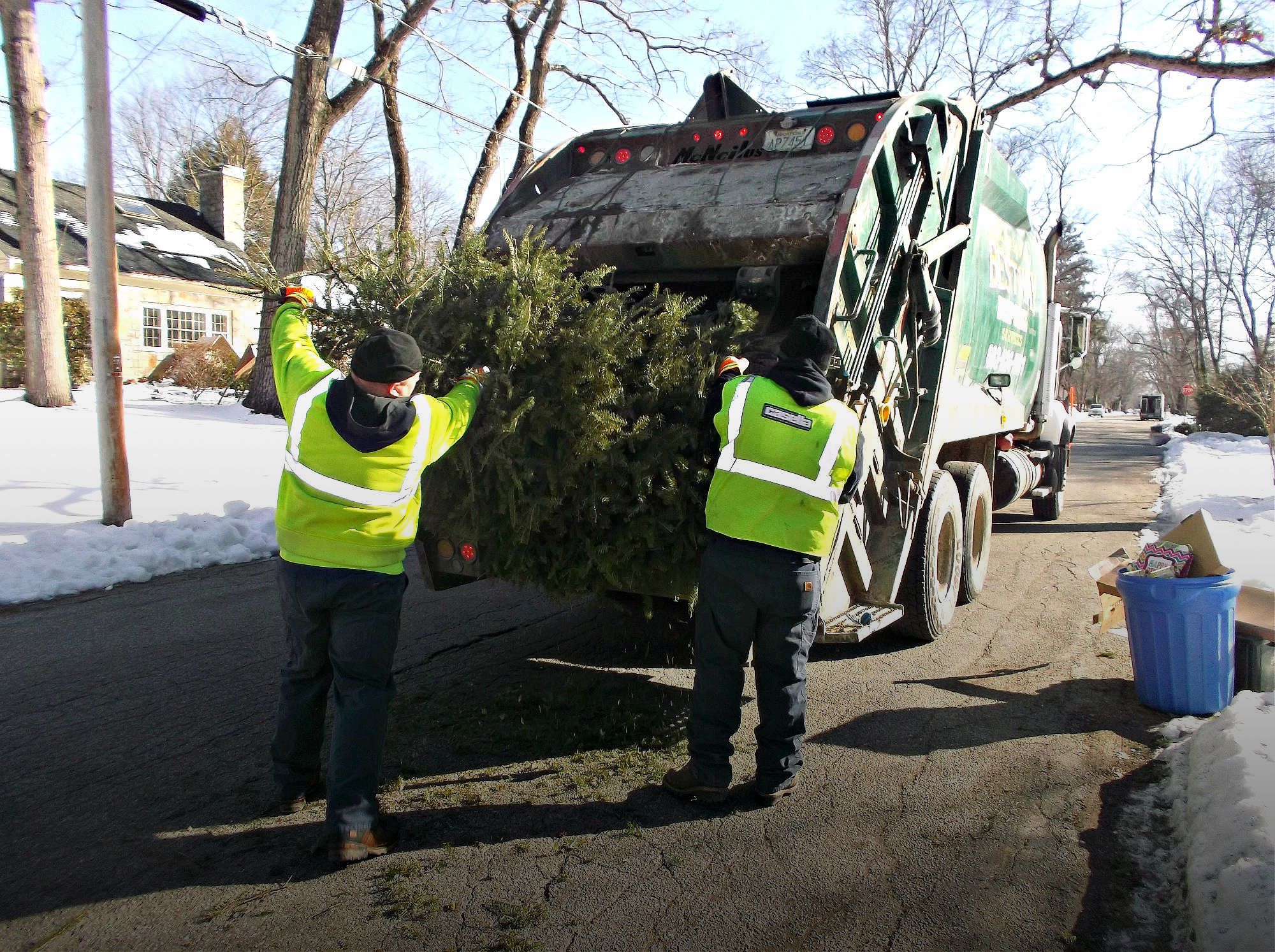 Casella employees collect a Christmas tree with curbside trash. The