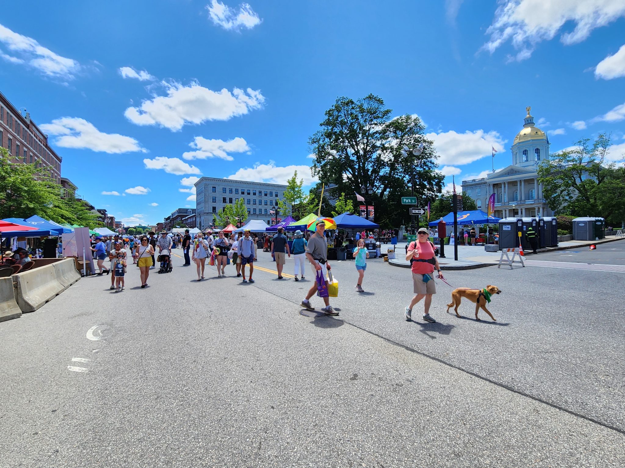 2024 festivals coming to the Capital City The Concord Insider