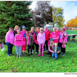 Making Strides walk to step off Sunday